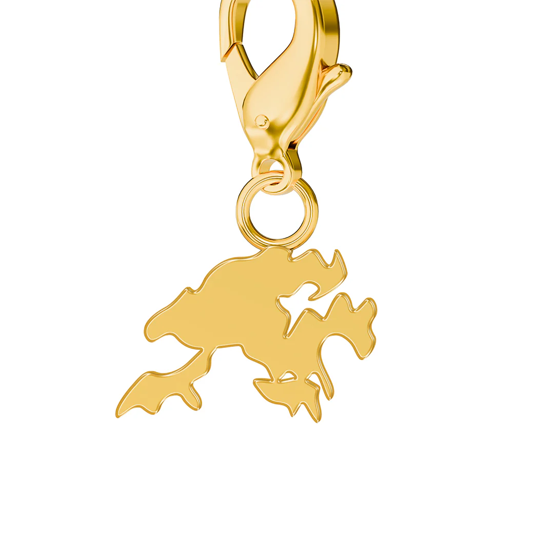 Flag & Map Charms Set - Image 19