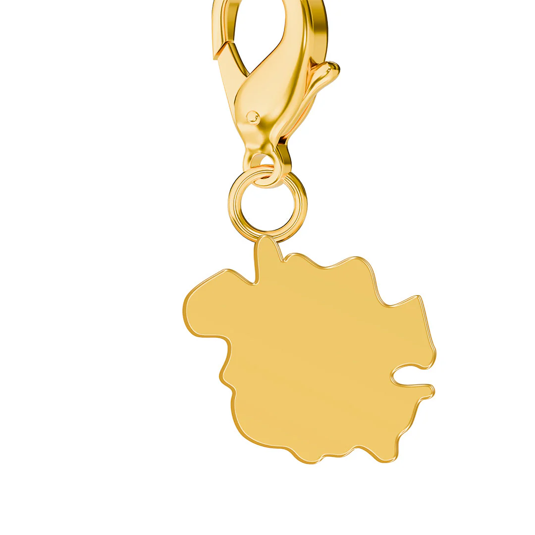 Flag & Map Charms Set - Image 129