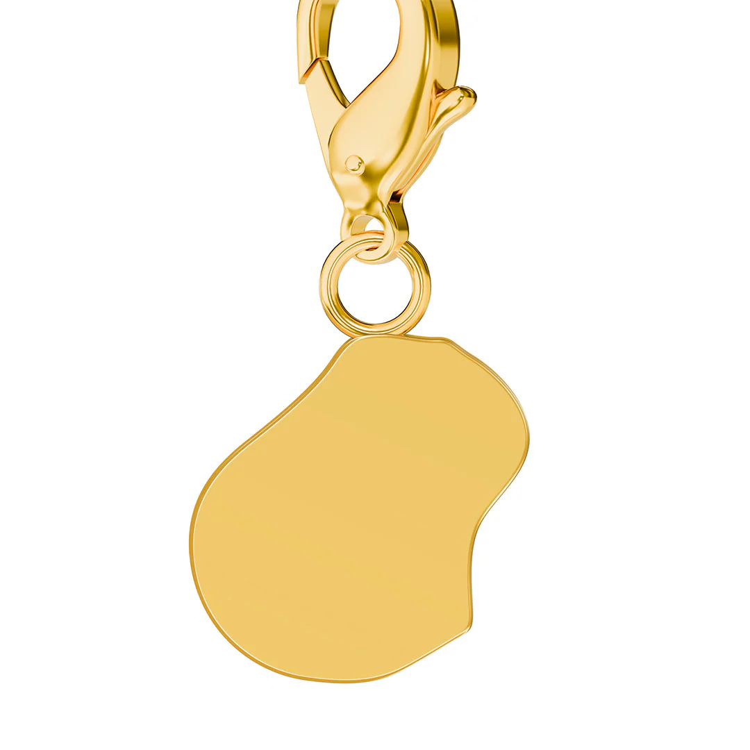 Flag & Map Charms Set - Image 137