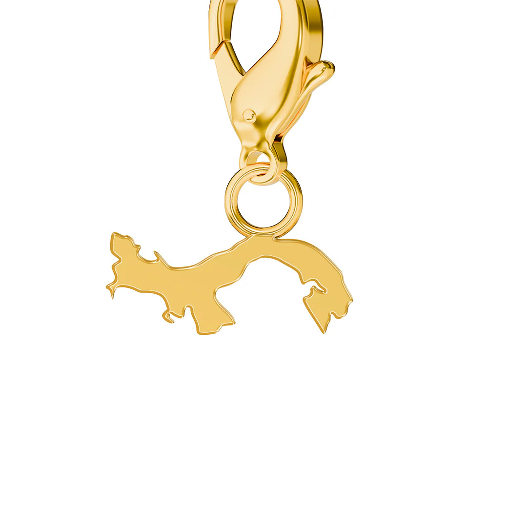 Flag & Map Charms Set - Image 148