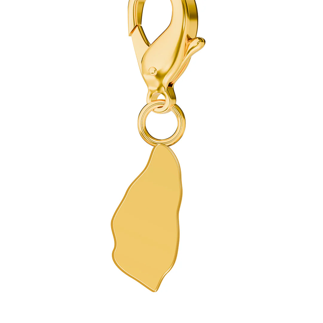 Flag & Map Charms Set - Image 157
