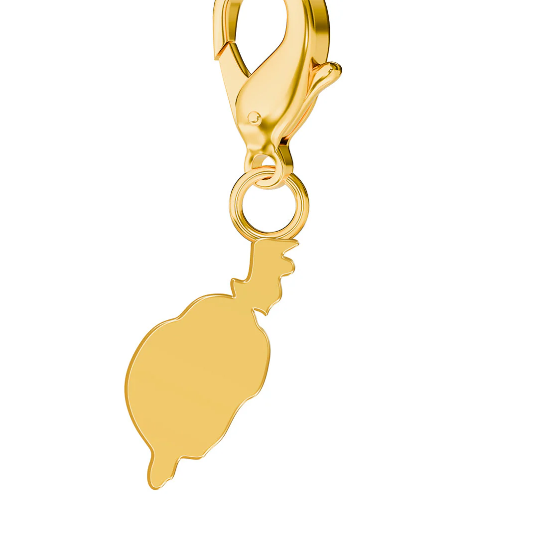 Flag & Map Charms Set - Image 160