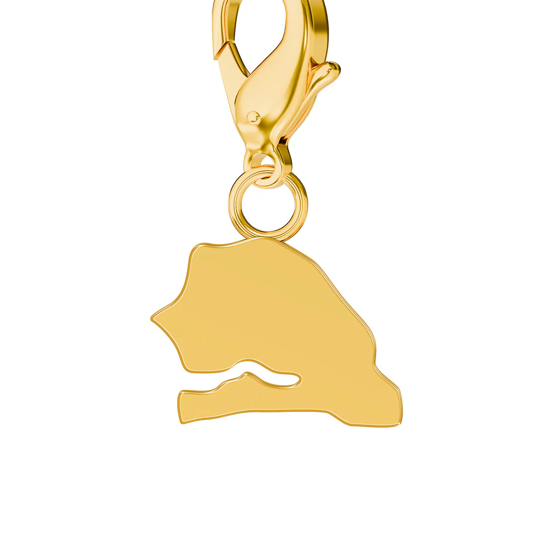Flag & Map Charms Set - Image 163