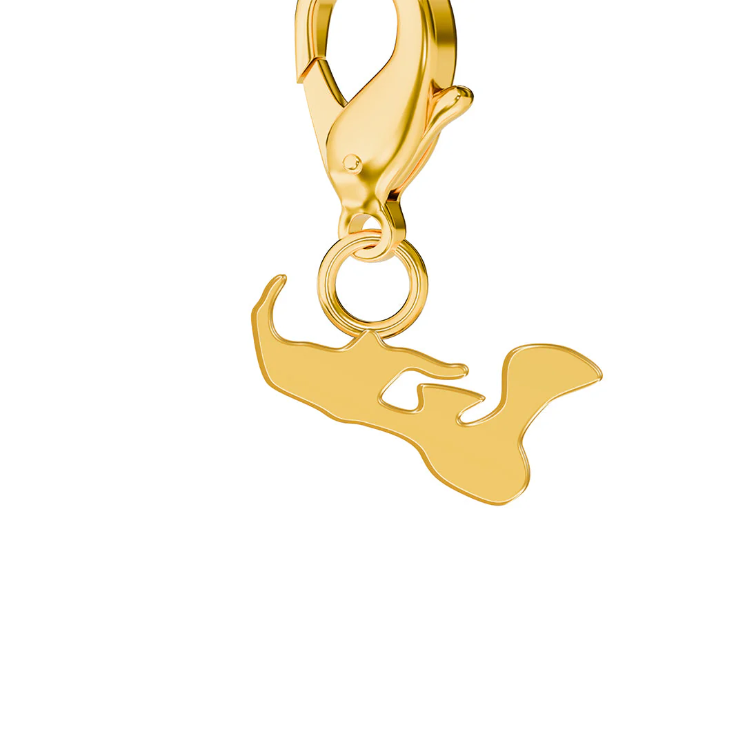 Flag & Map Charms Set - Image 186