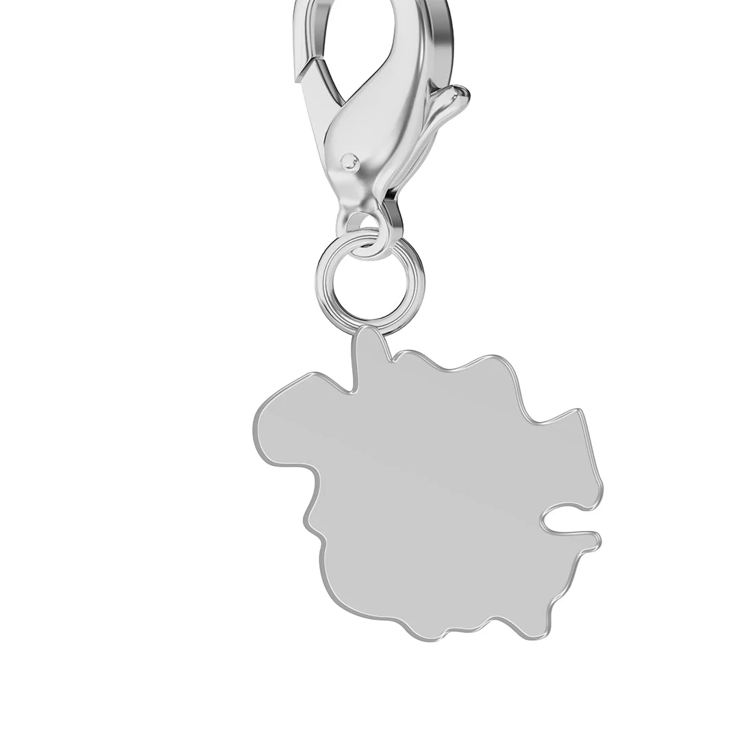 Flag & Map Charms Set - Image 129