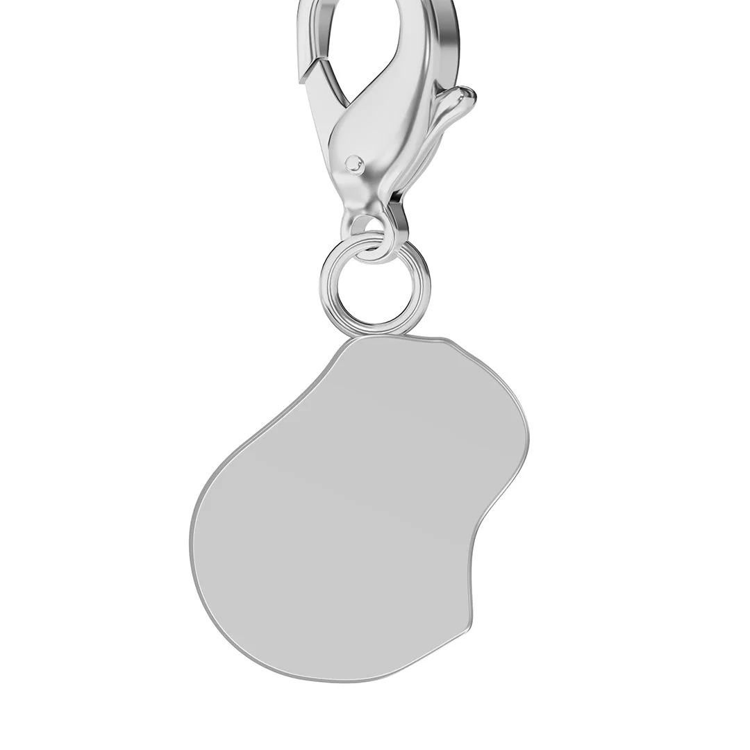 Flag & Map Charms Set - Image 137