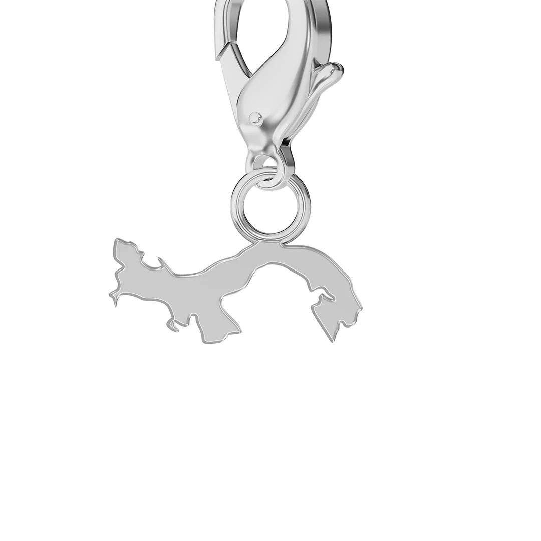 Flag & Map Charms Set - Image 148