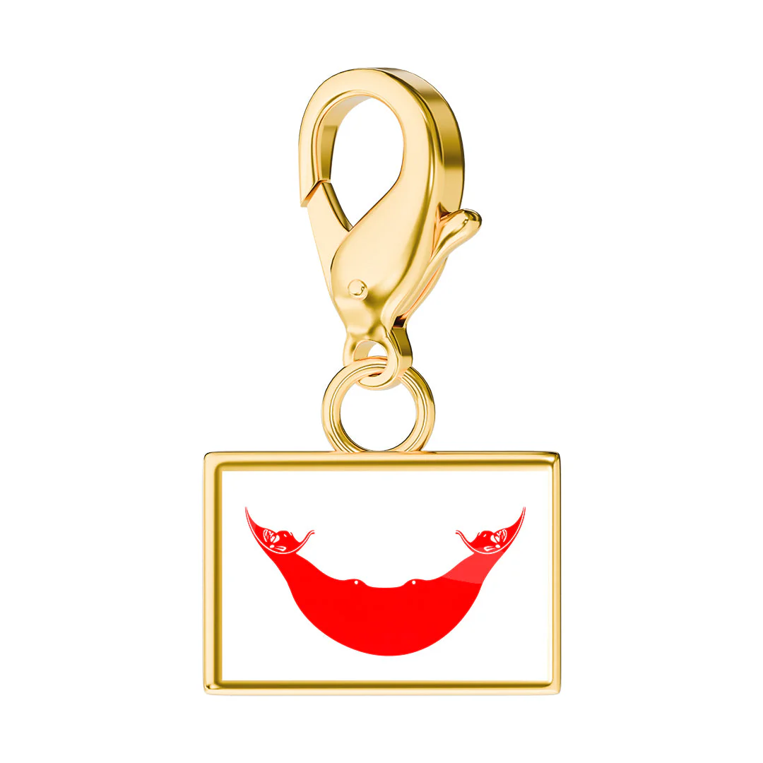 Flag & Map Charms Set (Preorder) - Image 38