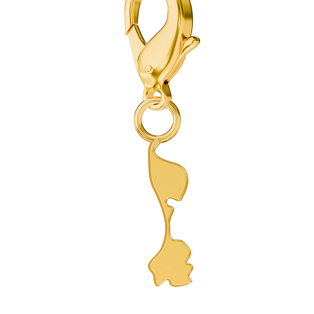 Flag & Map Charms Set (Preorder) - Image 11