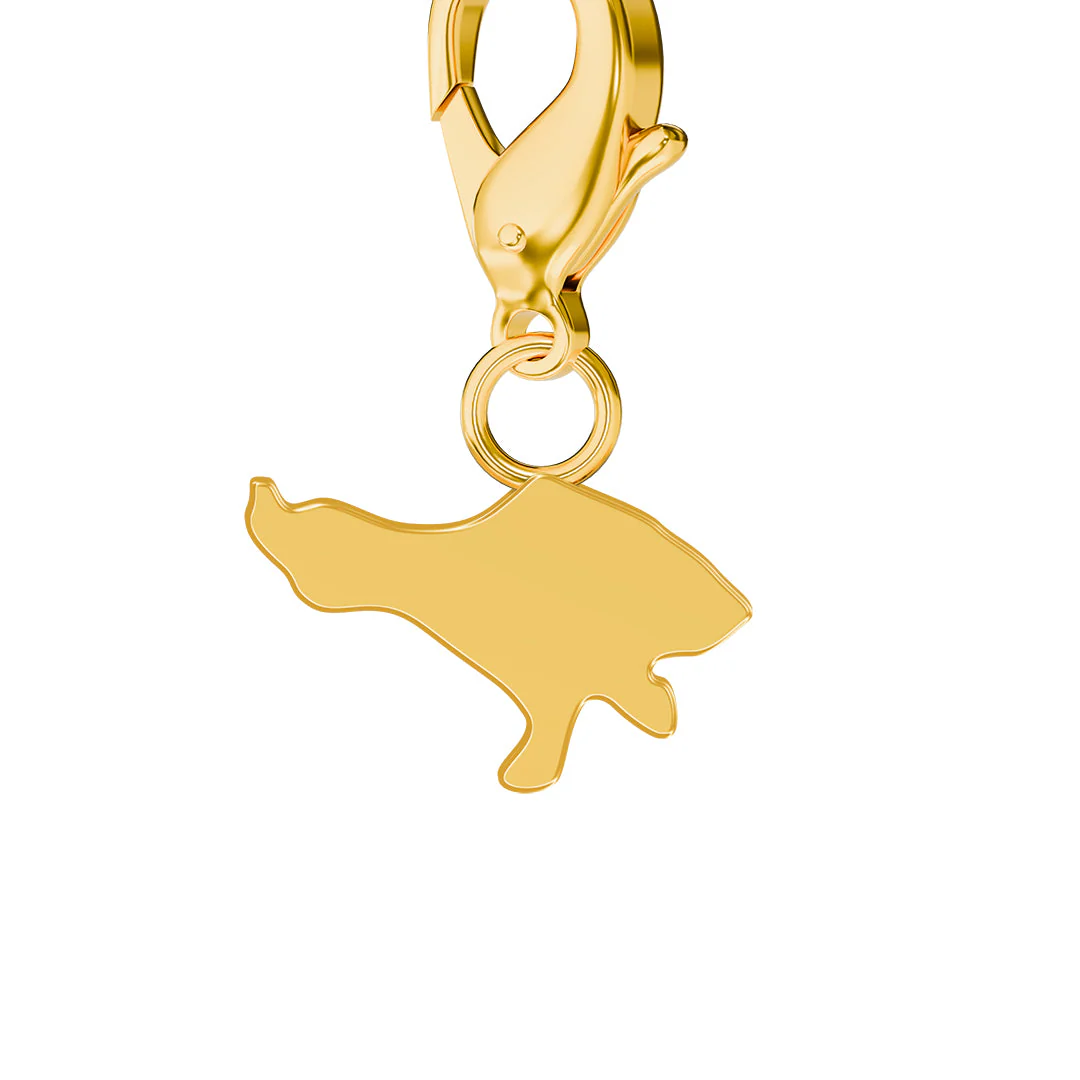 Flag & Map Charms Set (Preorder) - Image 2