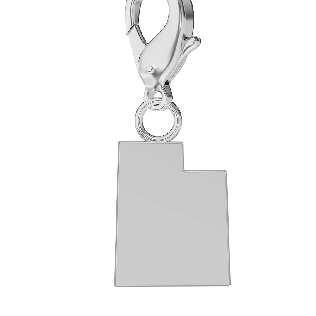 USA State Flag & Map Charms Set - Image 104