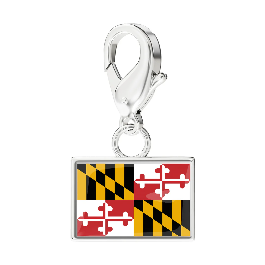 USA State Flag & Map Charms Set - Image 17