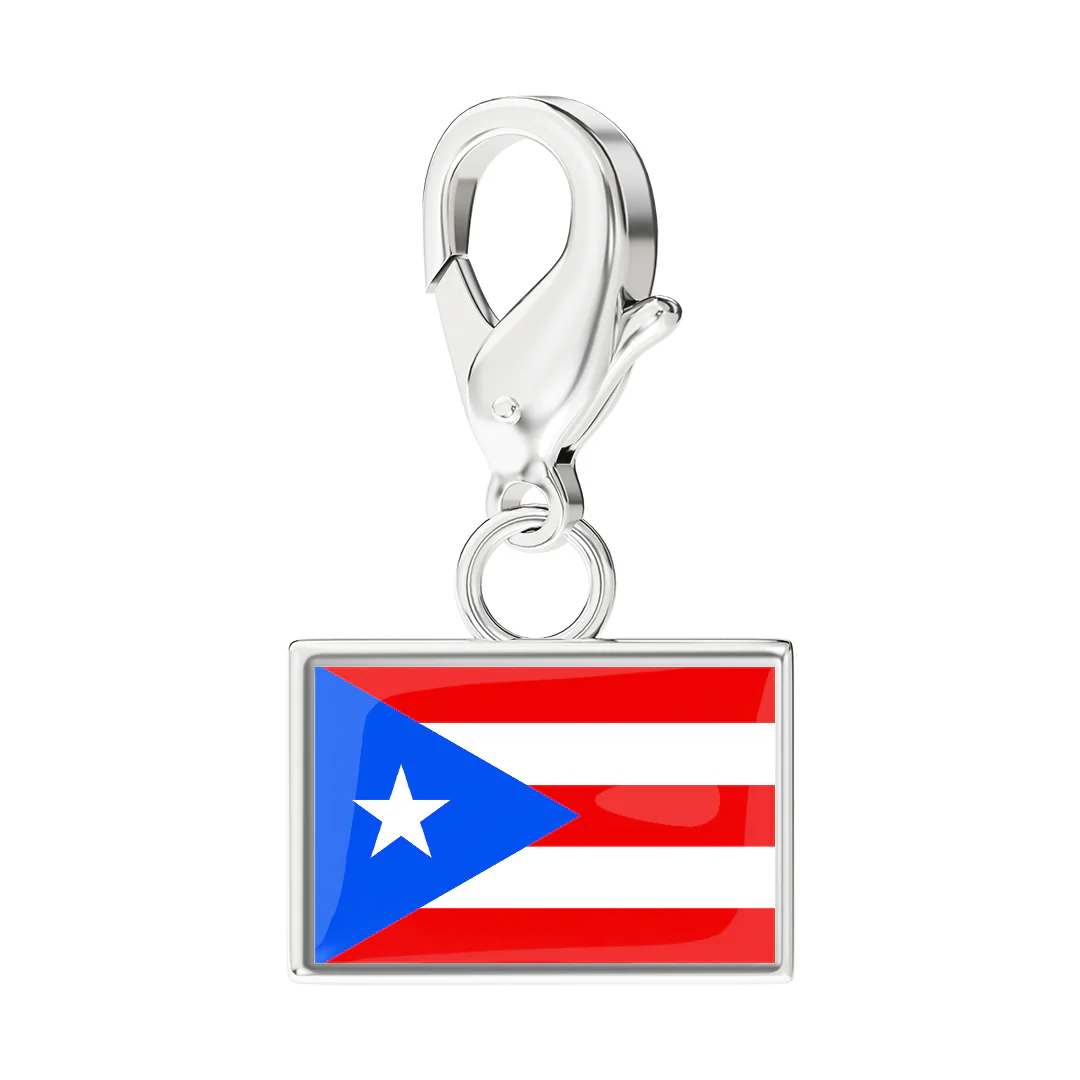 USA State Flag & Map Charms Set - Image 47