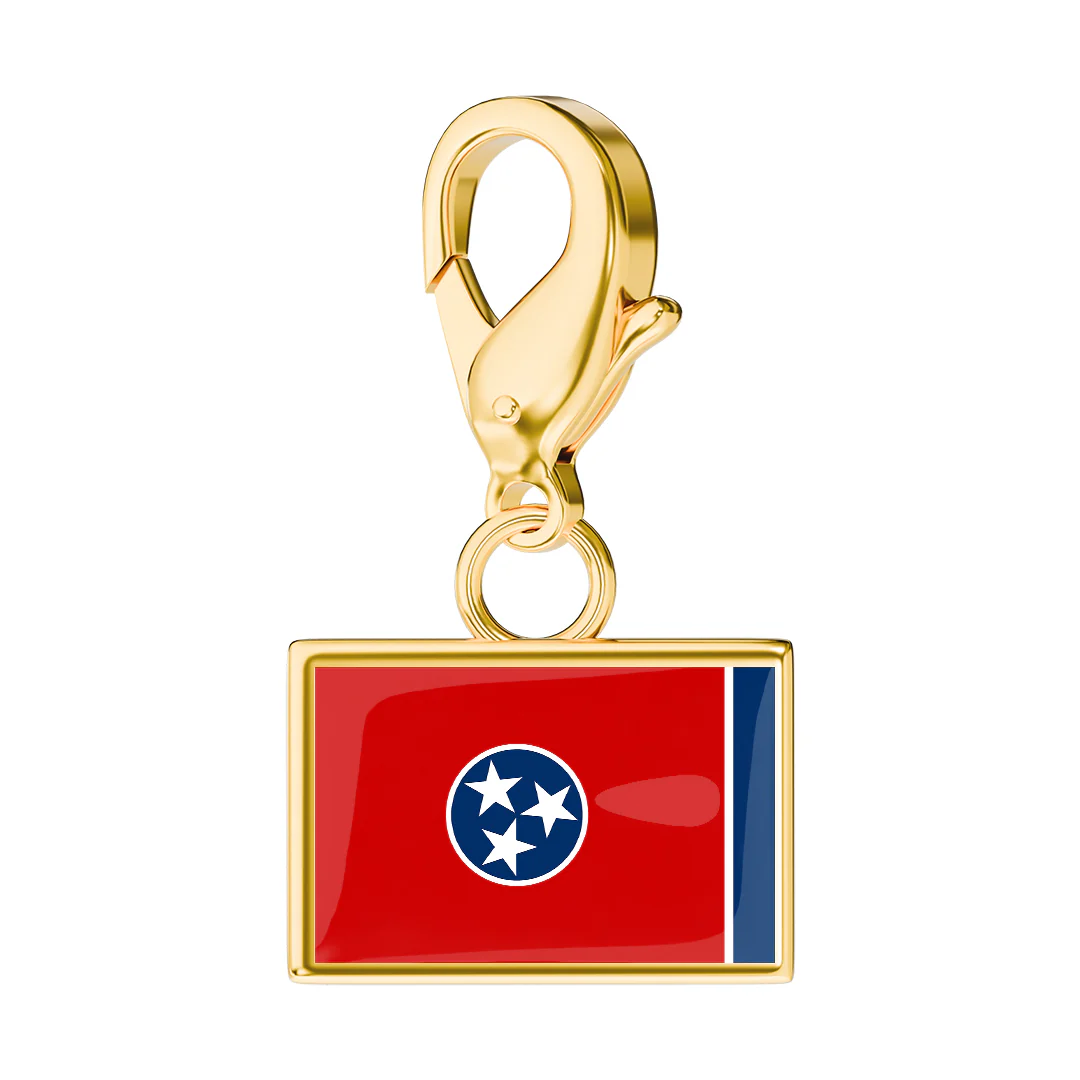 USA State Flag & Map Charms Set - Image 54