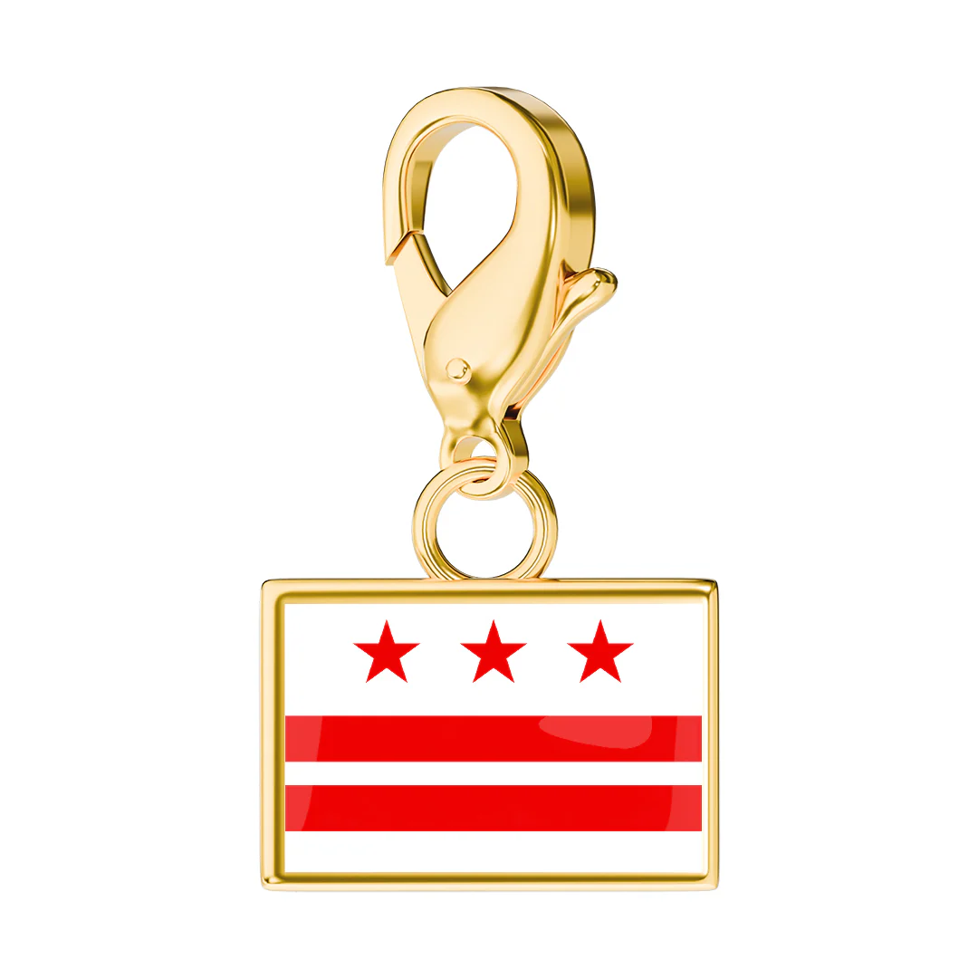 USA State Flag & Map Charms Set - Image 64
