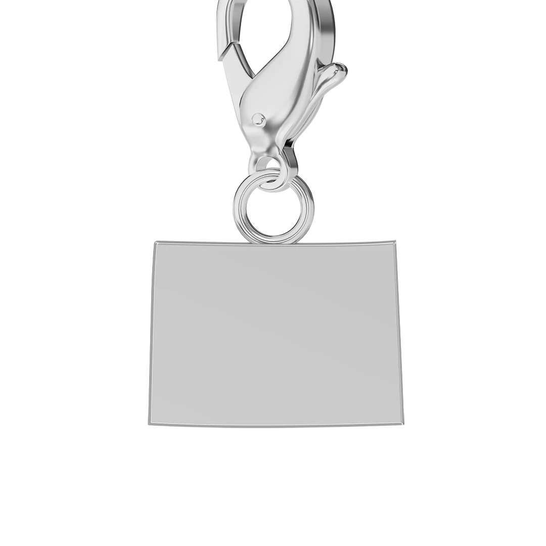 USA State Flag & Map Charms Set - Image 24