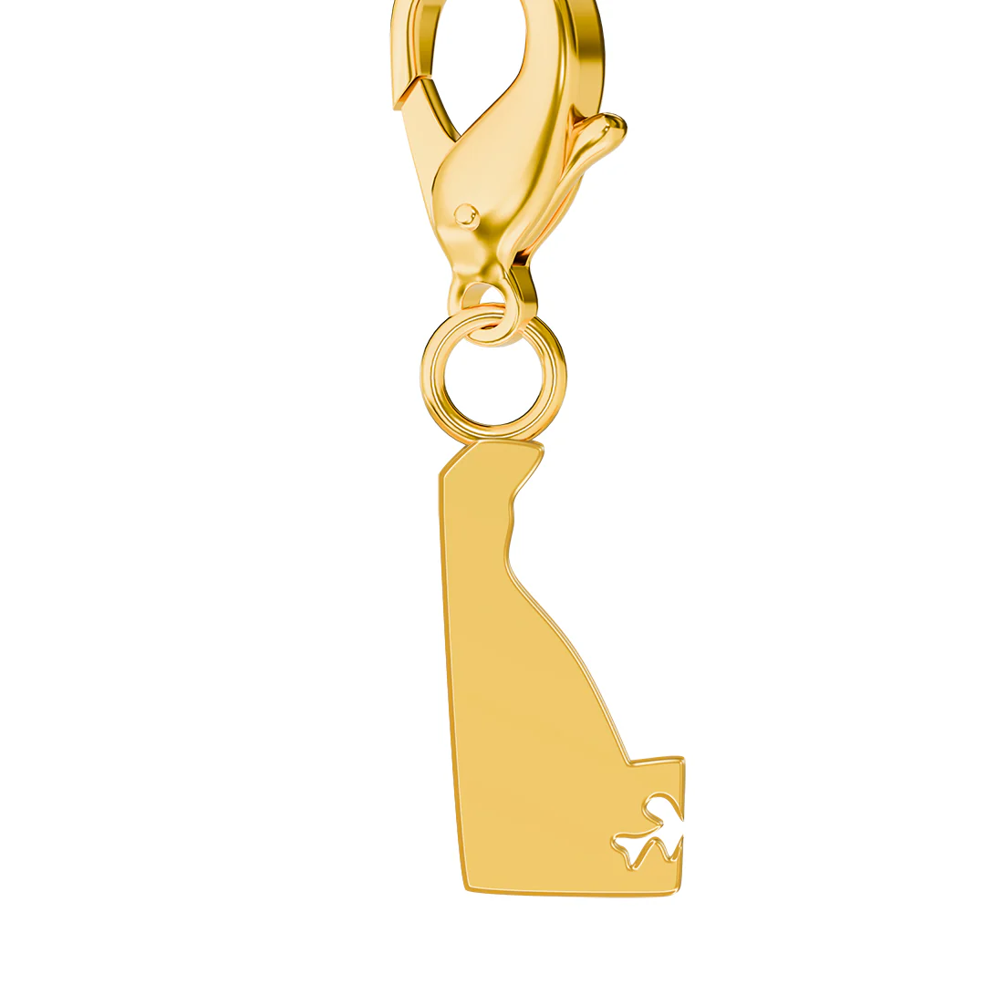 USA State Flag & Map Charms Set - Image 28