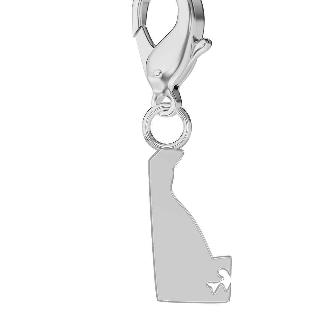 USA State Flag & Map Charms Set - Image 29