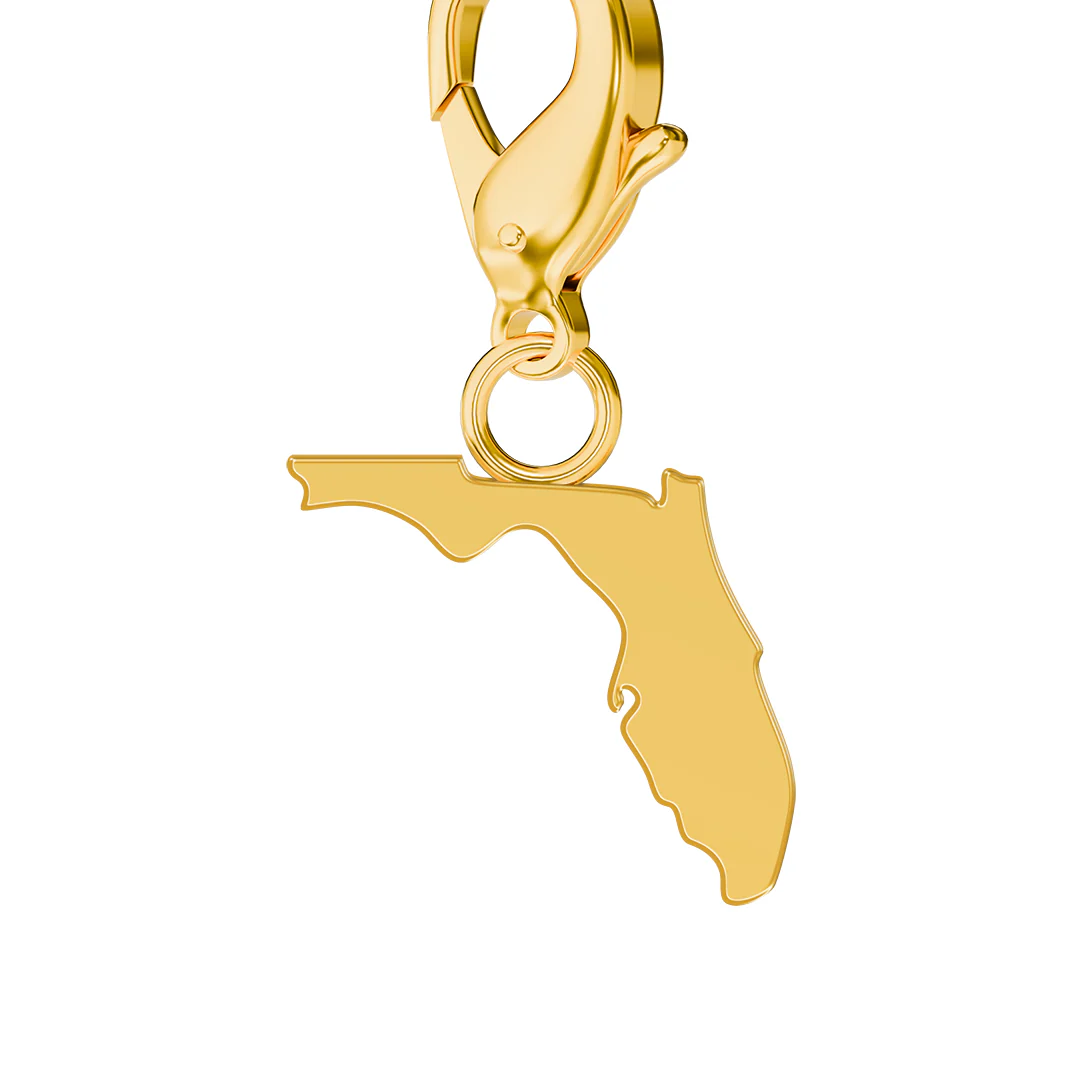 USA State Flag & Map Charms Set - Image 30
