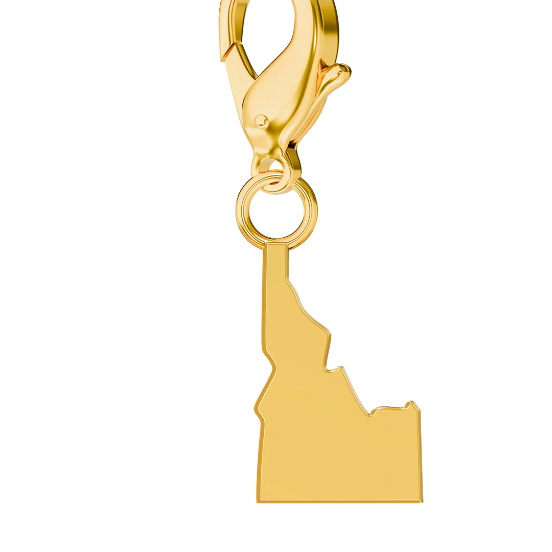 USA State Flag & Map Charms Set - Image 36