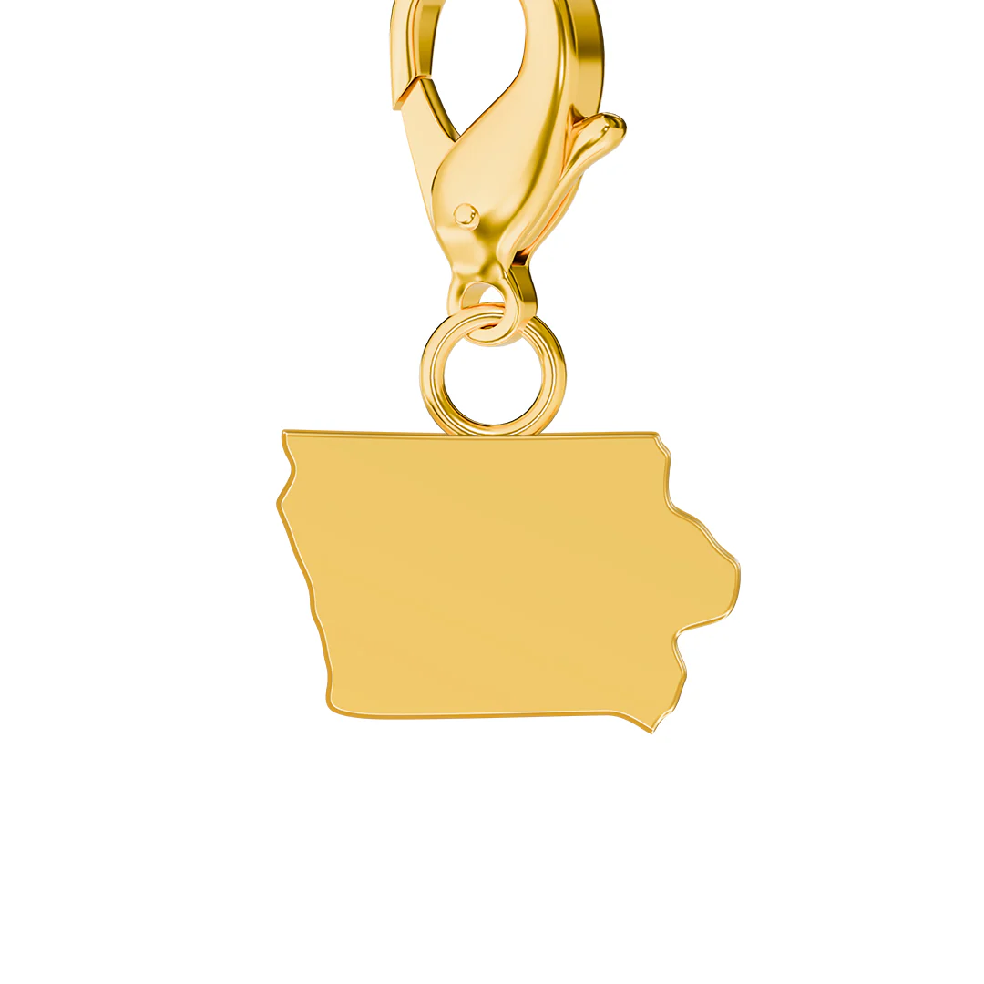 USA State Flag & Map Charms Set - Image 42