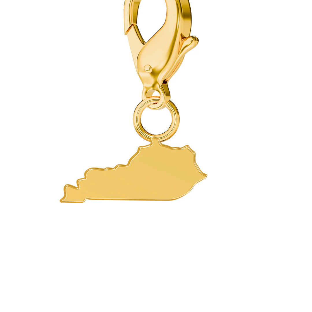 USA State Flag & Map Charms Set - Image 46