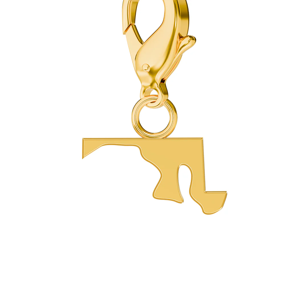 USA State Flag & Map Charms Set - Image 53