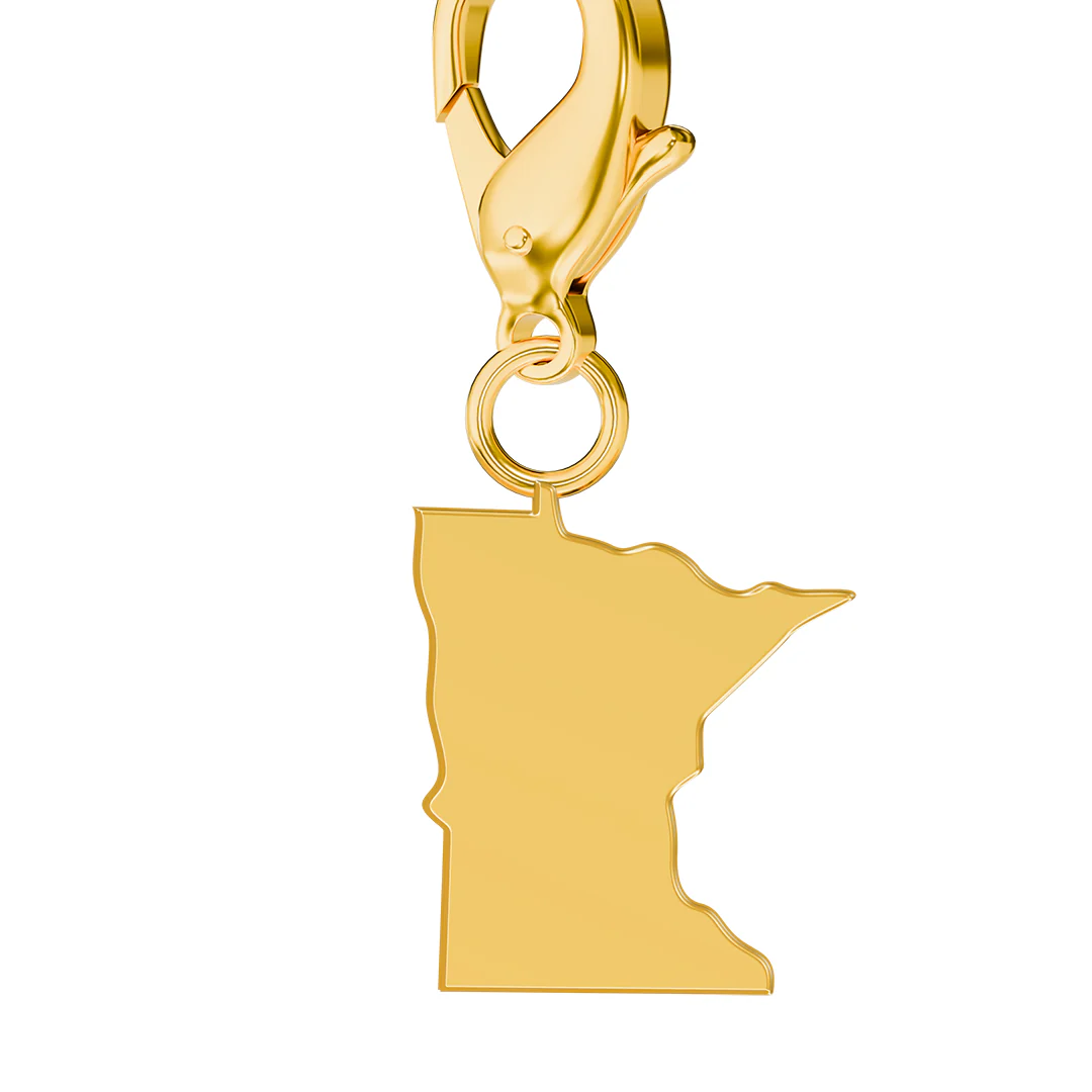 USA State Flag & Map Charms Set - Image 59
