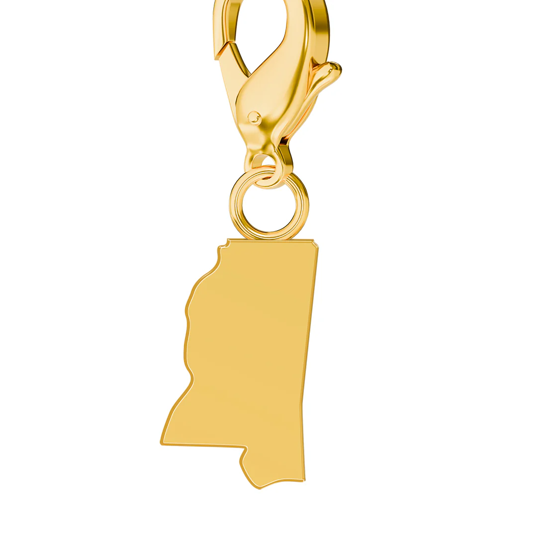 USA State Flag & Map Charms Set - Image 61