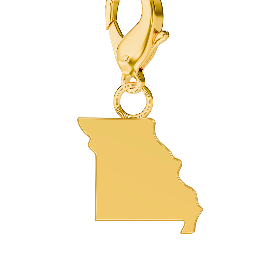 USA State Flag & Map Charms Set - Image 63