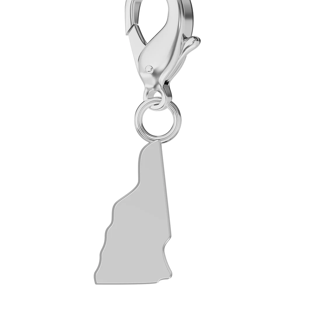 USA State Flag & Map Charms Set - Image 72