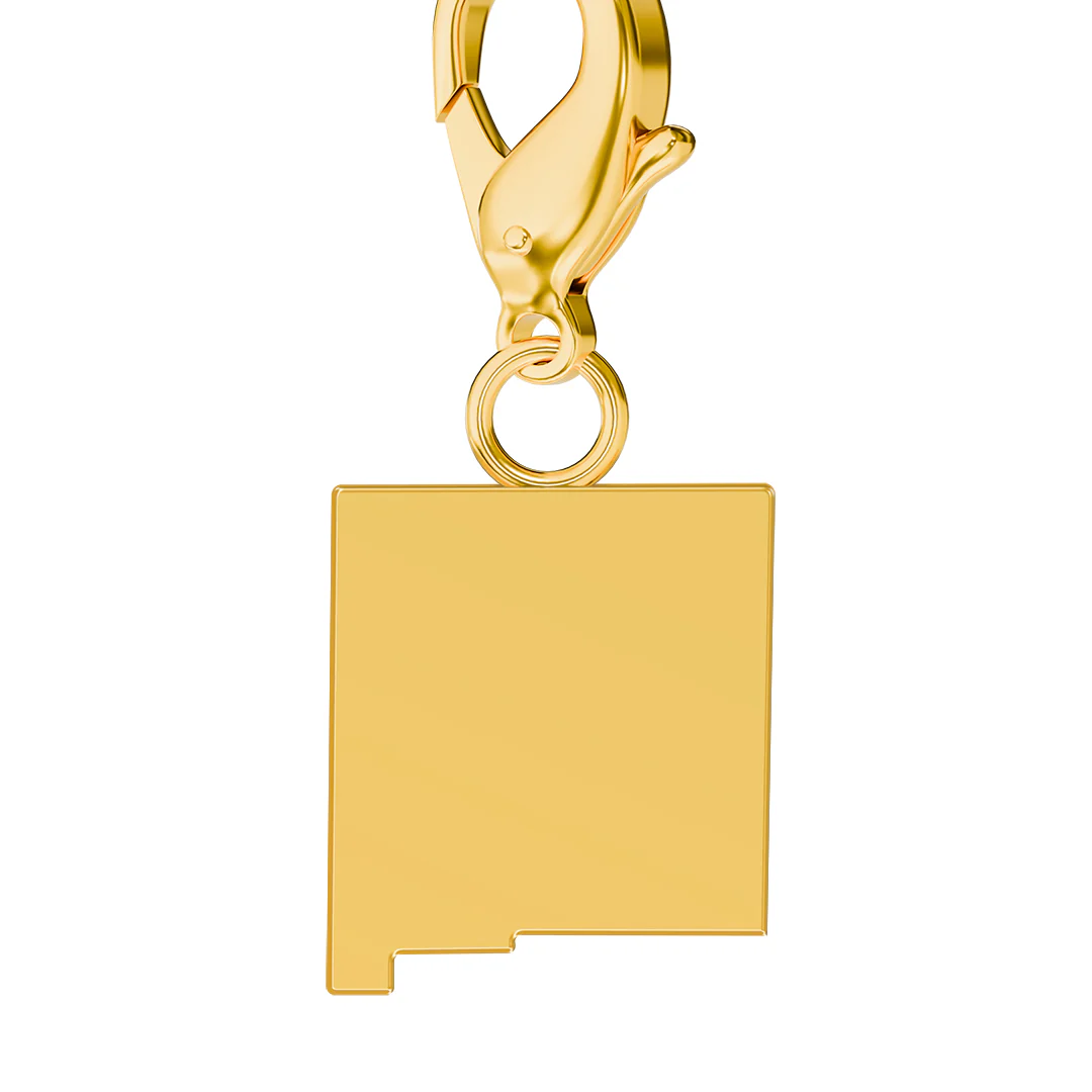 USA State Flag & Map Charms Set - Image 75