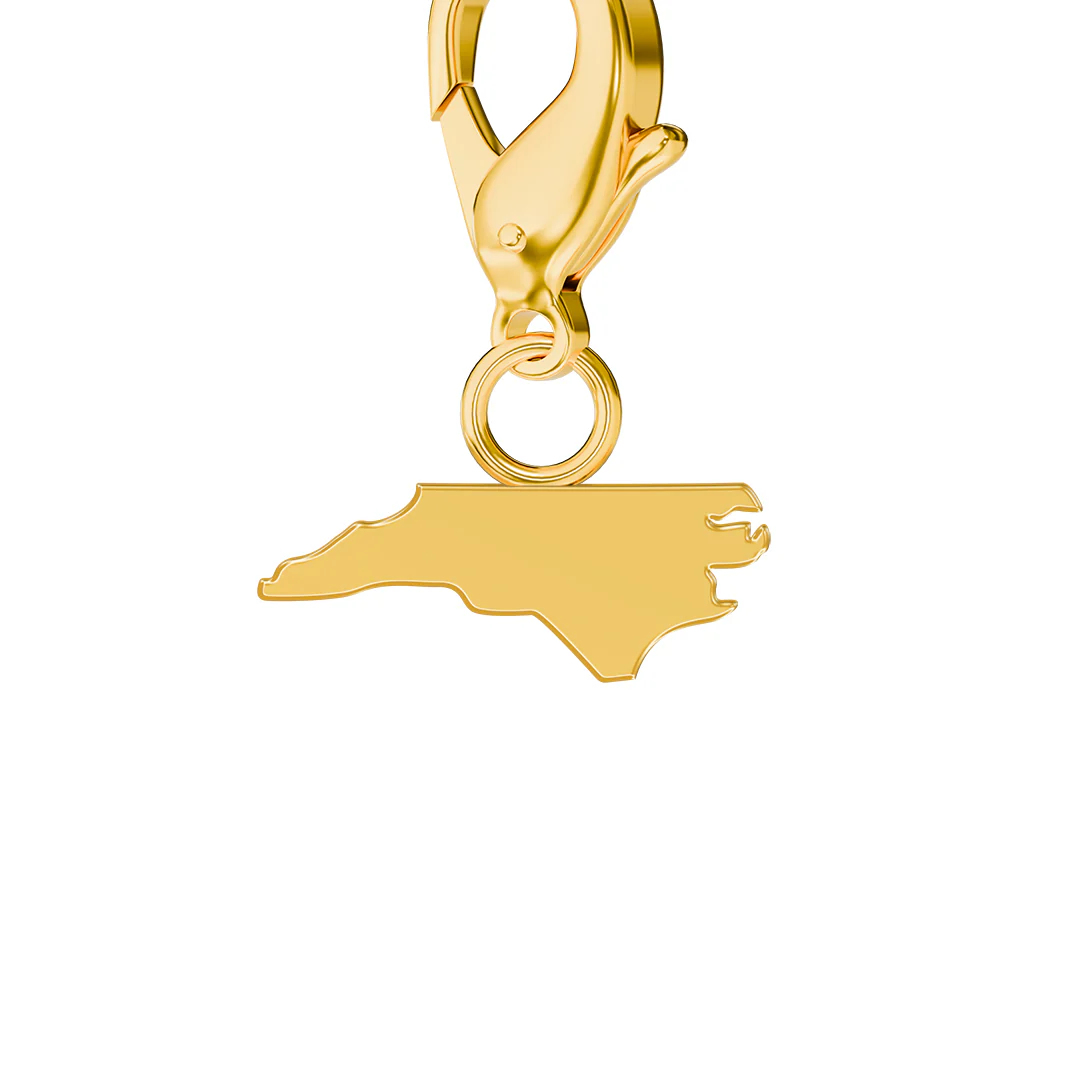 USA State Flag & Map Charms Set - Image 79