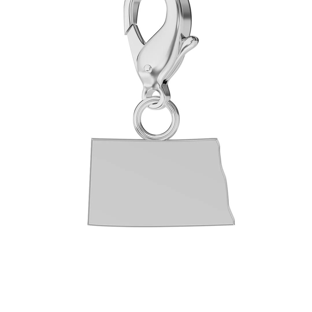 USA State Flag & Map Charms Set - Image 82