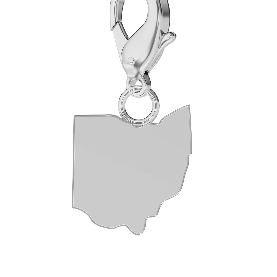 USA State Flag & Map Charms Set - Image 84