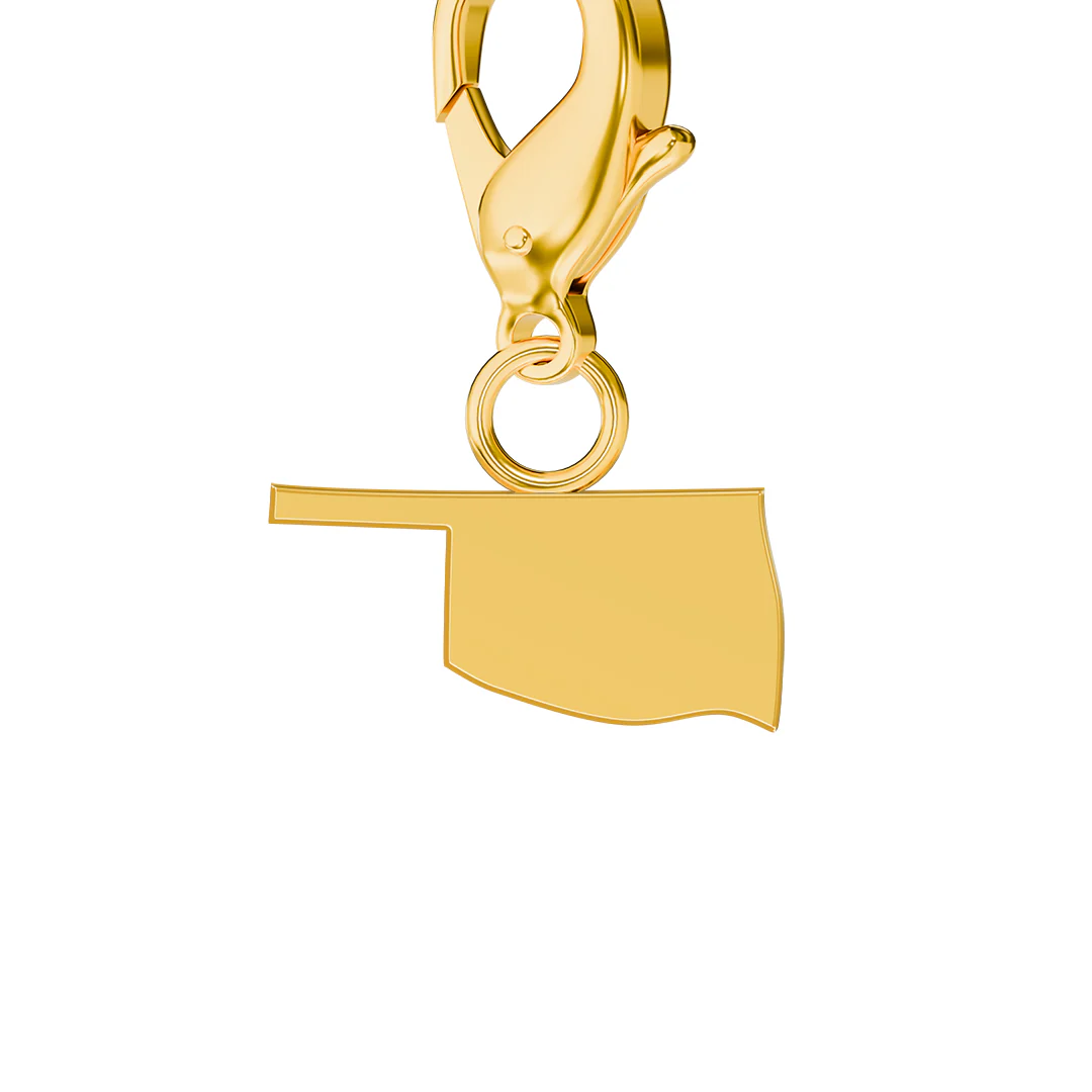 USA State Flag & Map Charms Set - Image 85