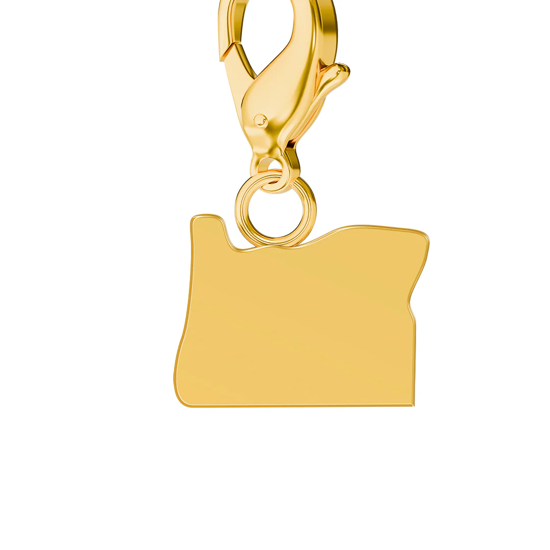 USA State Flag & Map Charms Set - Image 87