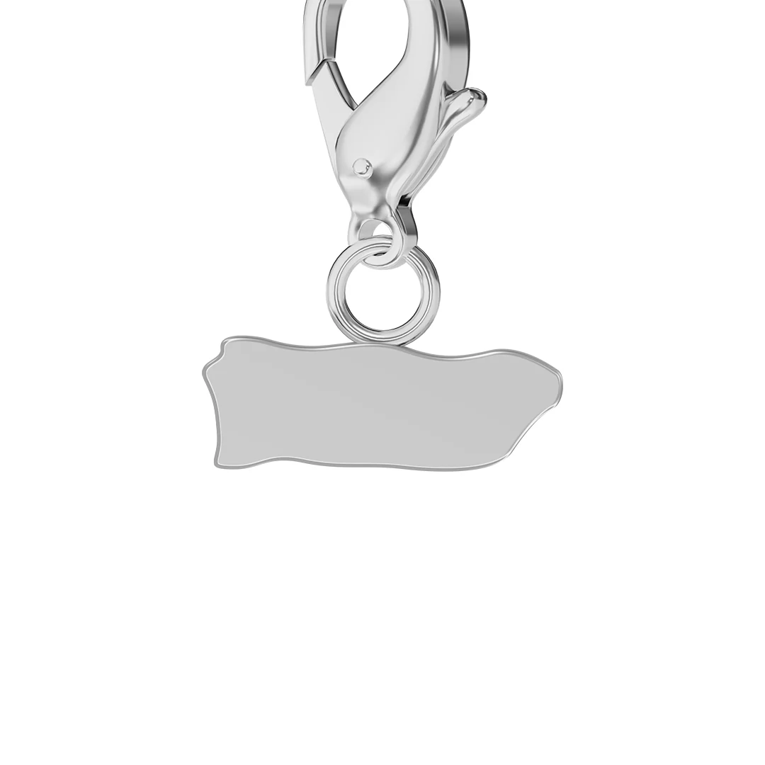 USA State Flag & Map Charms Set - Image 92