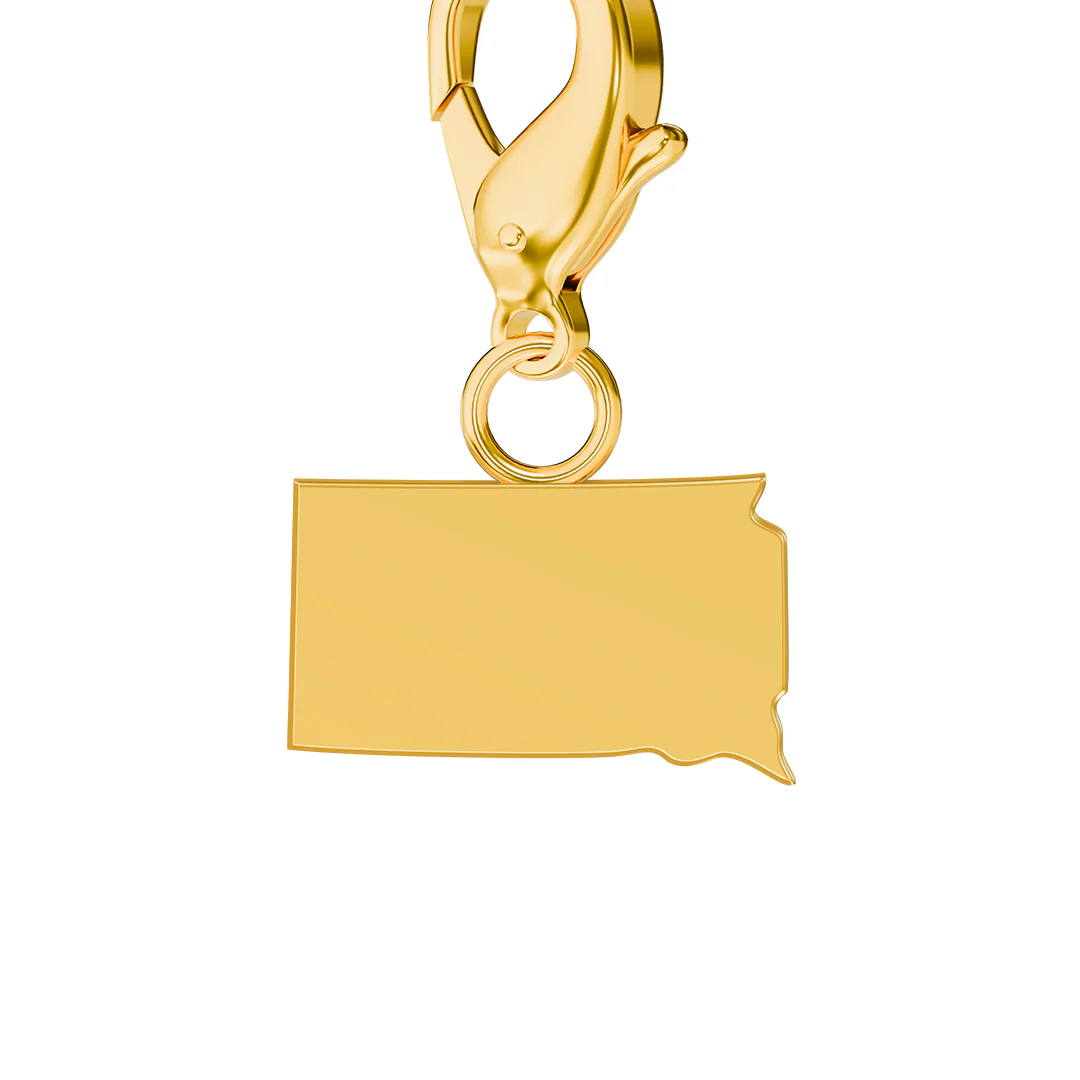 USA State Flag & Map Charms Set - Image 97