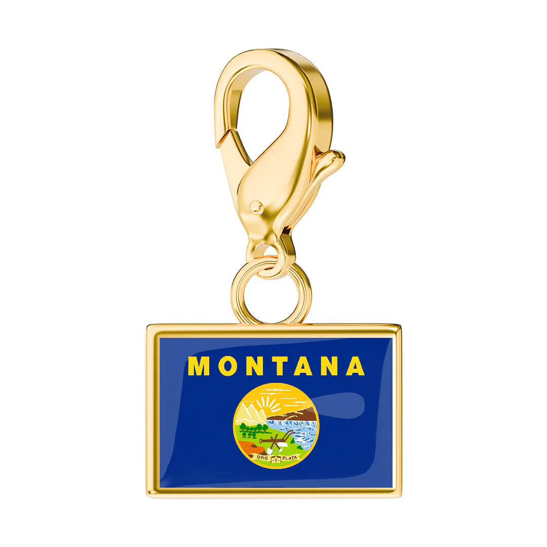 USA State Flag & Map Charms Set - Image 28