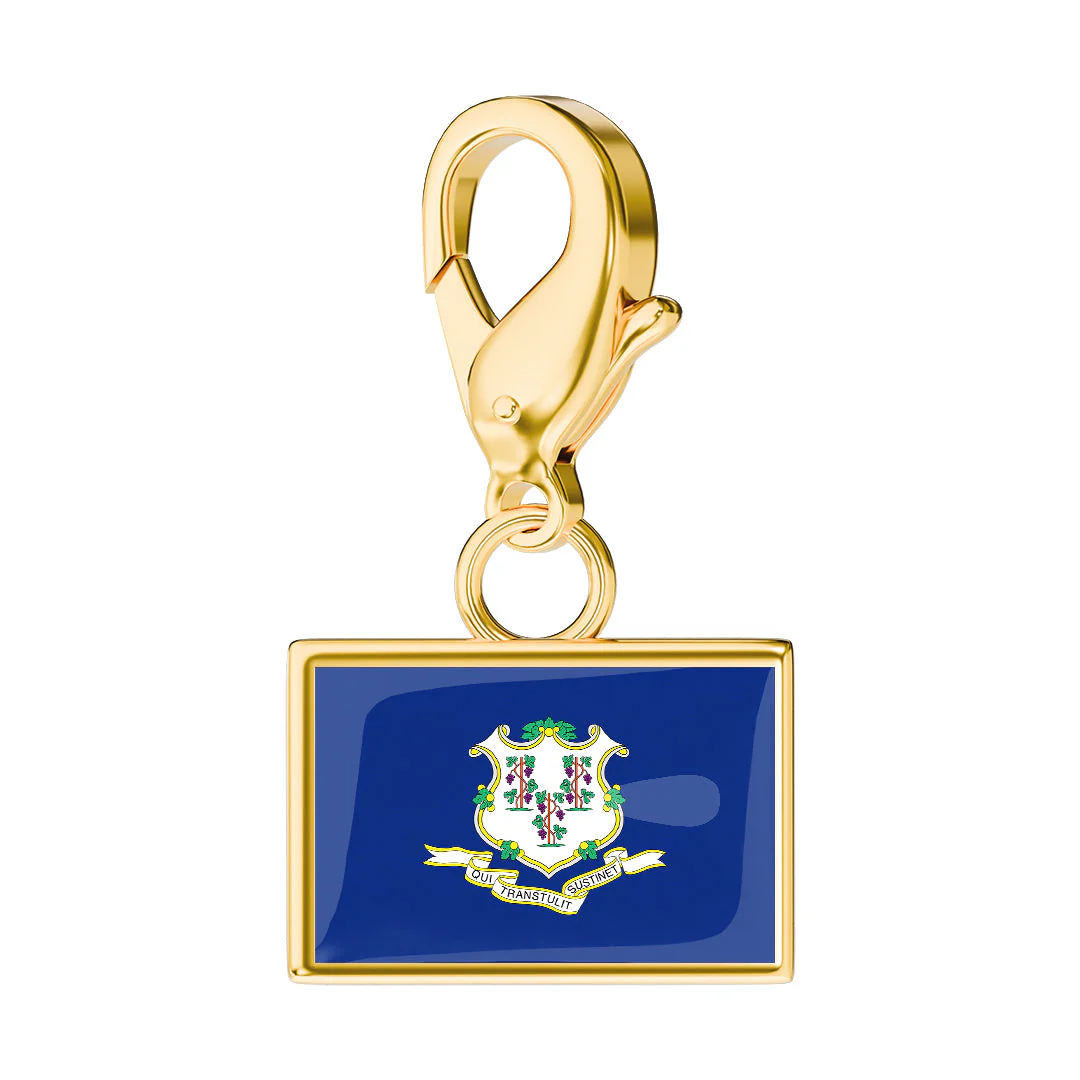 USA State Flag & Map Charms Set - Image 9