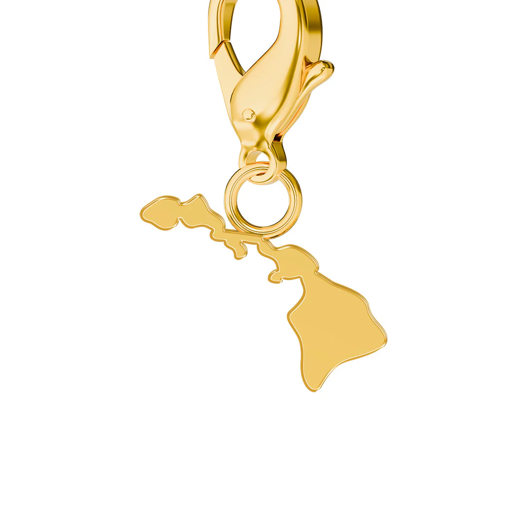 USA State Flag & Map Charms Set - Image 11