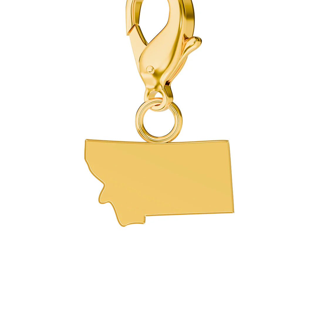 USA State Flag & Map Charms Set - Image 26