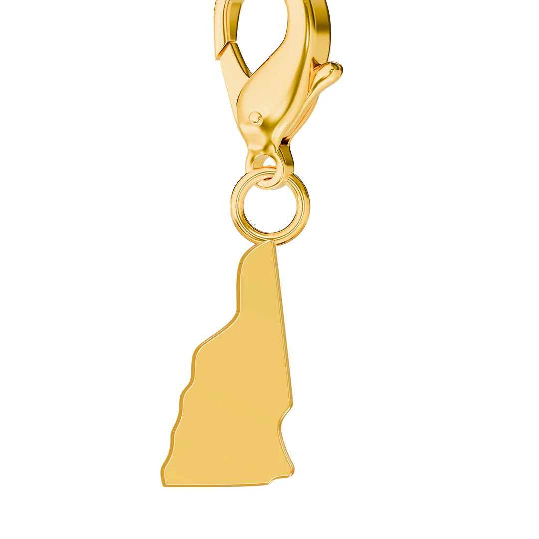 USA State Flag & Map Charms Set - Image 29