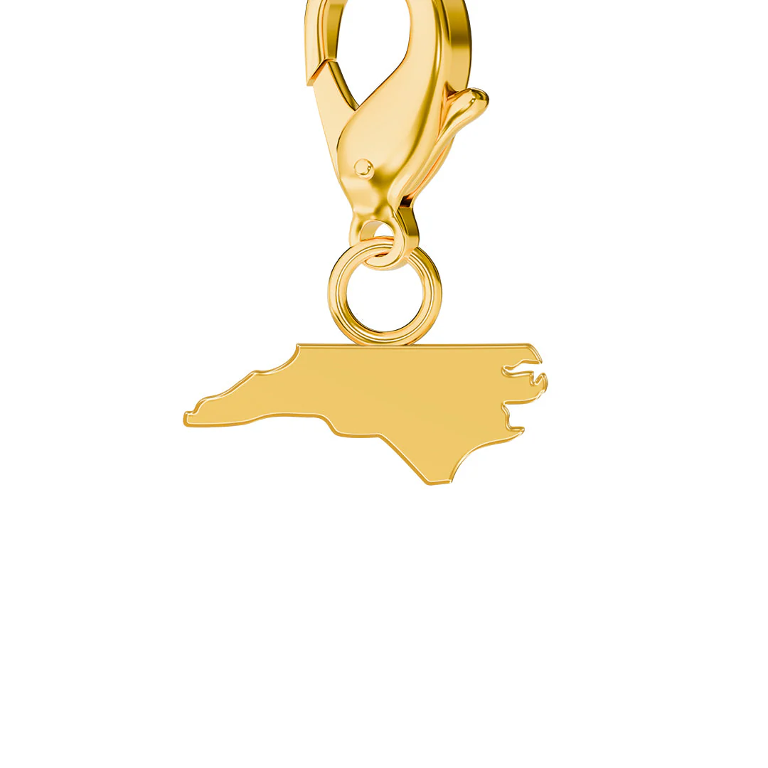 USA State Flag & Map Charms Set - Image 33