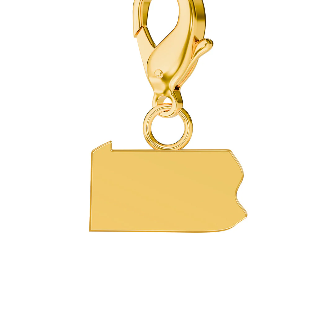 USA State Flag & Map Charms Set - Image 38