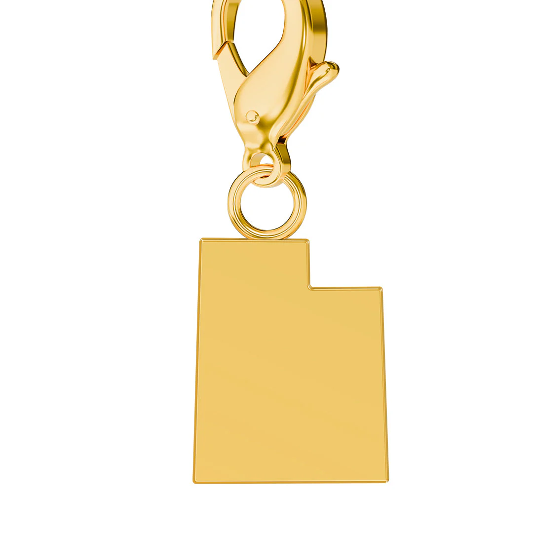 USA State Flag & Map Charms Set - Image 44
