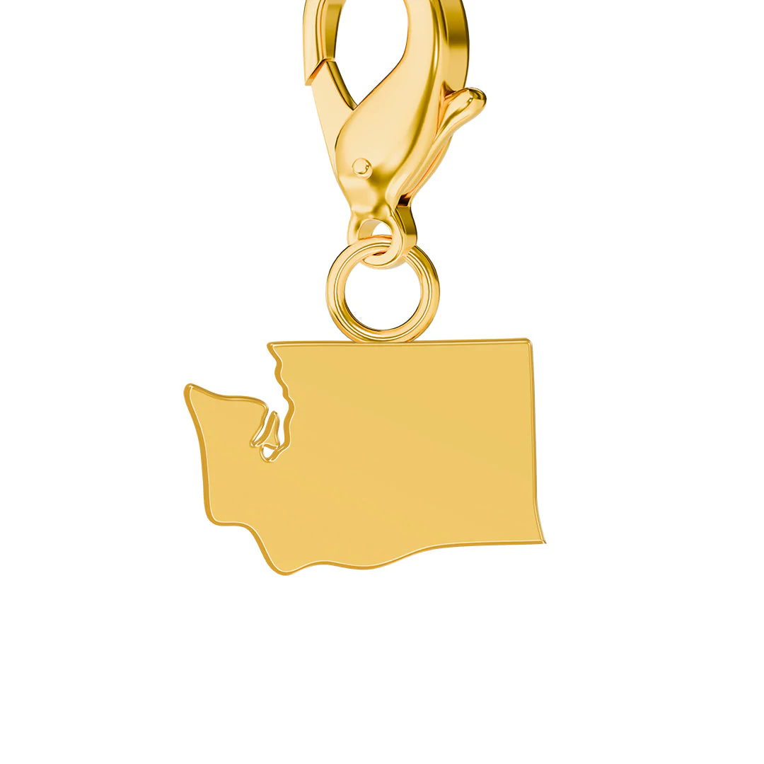 USA State Flag & Map Charms Set - Image 48