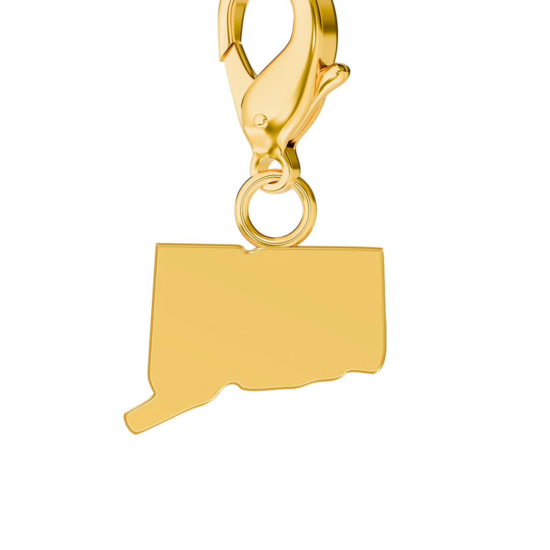 USA State Flag & Map Charms Set - Image 7