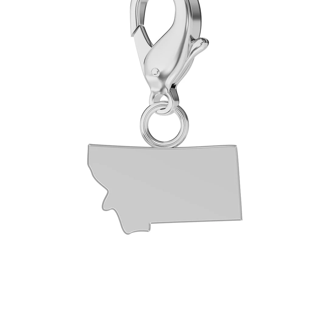 USA State Flag & Map Charms Set - Image 26